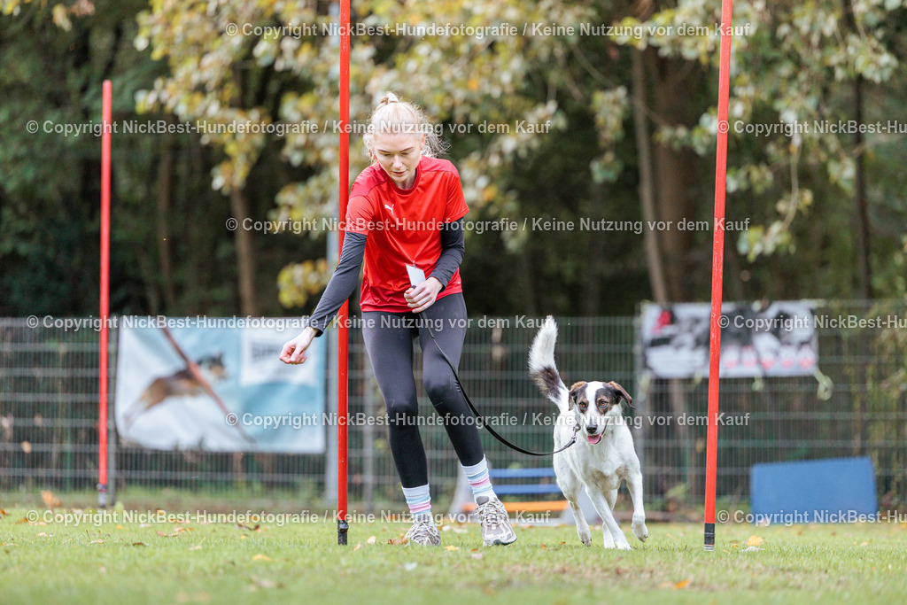 THS-HSV-Blumenthal-2026-Nickbest-Hundefotografie-1991 | Dein Hund! Dein Moment! Deine Erinnerungen! Hundefotografie in Bremen Blumenthal. Ich fange die besonderen Momente deines Vierbeiners ein – ob Indoor mit Blitzanlage oder in der freien Natur. Sicher dir dein Moment und dein Termin für eure Erinnerungen.