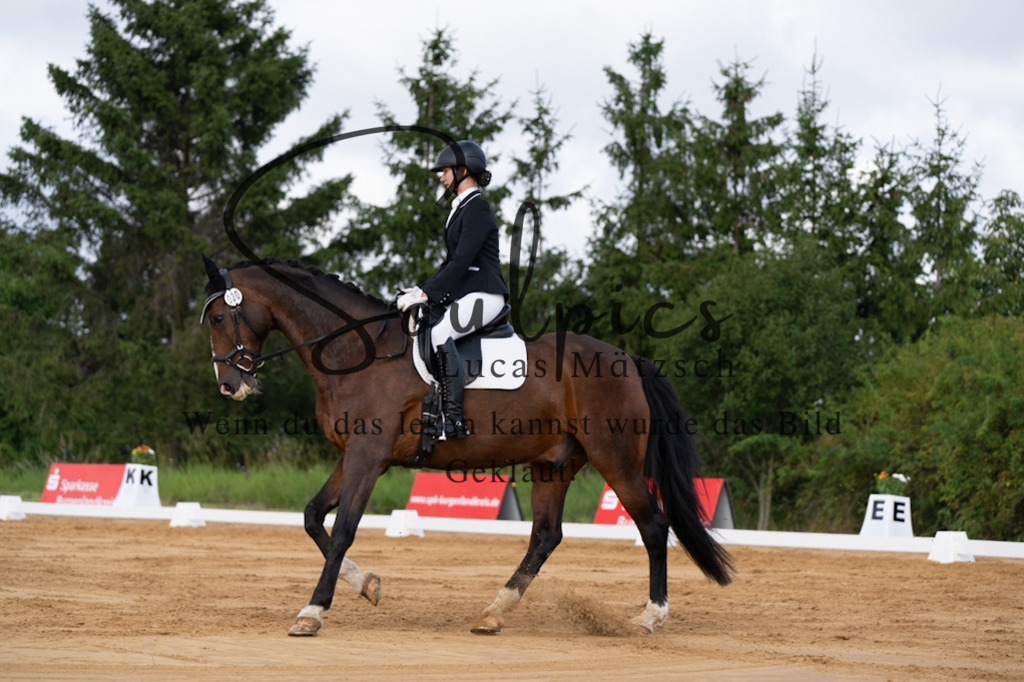 A7V05179 | Pferdefotograf