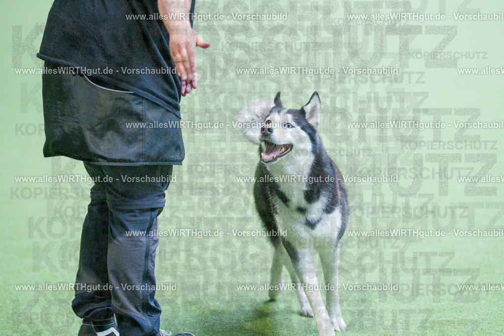 @allesWIRTHgut_Tierfotografie - www.allesWIRTHgut.de - 2604251549-7R506256 | Professionelle Tierfotografie in Mönchengladbach von Daniel Wirth (allesWIRTHgut). Liebevolle & natürliche Bilder von Hunden & Katzen für unvergessliche Erinnerungen.