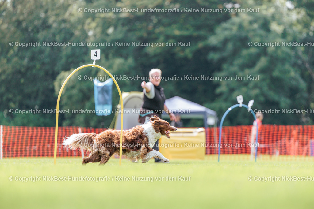 BSP Hoopers-H2-2026-Nickbest-Hundefotografie-TuS Komet Arsten e.V.-5109 | Dein Hund! Dein Moment! Deine Erinnerungen! Hundefotografie in Bremen Blumenthal. Ich fange die besonderen Momente deines Vierbeiners ein – ob Indoor mit Blitzanlage oder in der freien Natur. Sicher dir dein Moment und dein Termin für eure Erinnerungen.