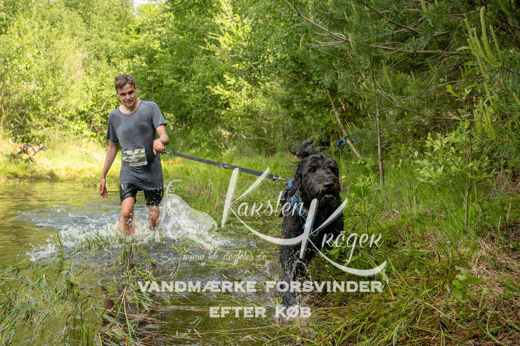 0940DKK9_ZZ92668 | kk-dogfotos