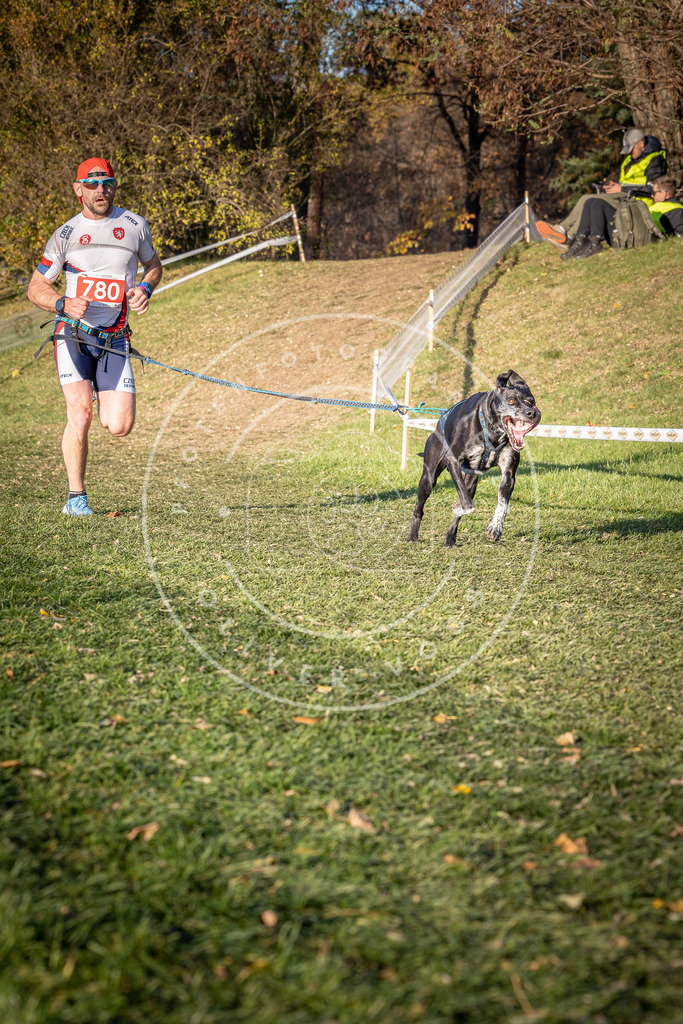 CaniXpix_0L8A0169 | Hundefotografie, Tierfotograf, Pfotenfotografie, Fotoshooting Hund, Hunde Portrait, Hundesport, Hundeportraits, Heideshooting, Hunde, Sportfotograf, Hundefotograf, Turnierhundsport, THS,  - Realisiert mit Pictrs.com