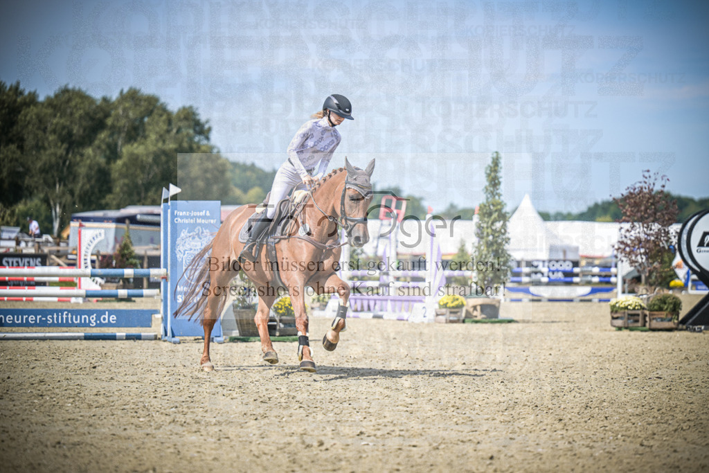 DOS_3790 | Entdecke hochwertige Reitturnierfotos von Foto Oger. Professionell, emotional und authentisch – jetzt Lieblingsmomente im Shop bestellen.Deutschlandweite Turnierfotografie. - Realisiert mit Pictrs.com