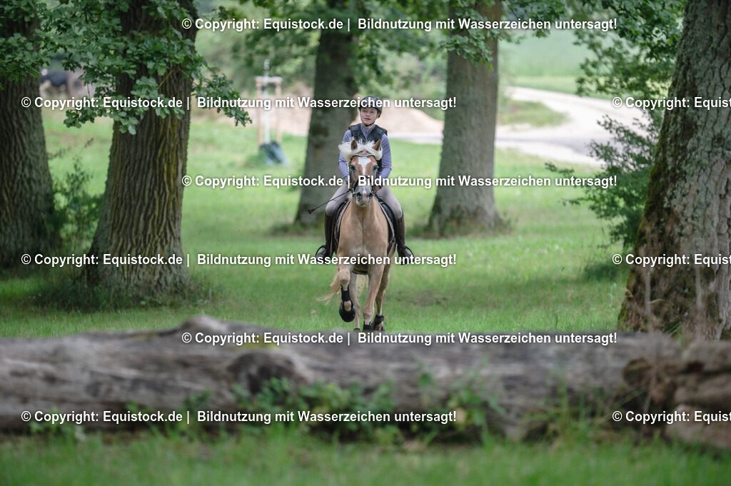 20250726_Vielseitigkeitslehrgang-Marbach_0200 | Foto: Thomas Hartig