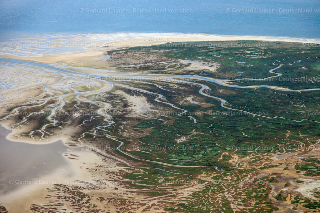 3090280 | Vogelschutzgebiet,  Priele auf Memmert Wattstrukturen Nationalpark Niedersächsisches Wattenmeer