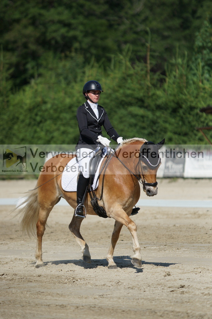 DSC02992 | equestrian-live-com