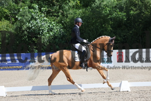 Weilheim_2025_Prfg.Nr.26_Pony-Reitpferdeprüfung_Miriam Hollenbach_Genau du SH (11) | Alle Fotos der Reiterjournal Fotografin Doris Matthaes im Reiterjournal Online-Fotoshop. - Realisiert mit Pictrs.com