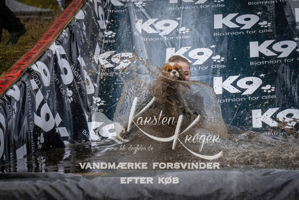 1248_ZZ90515 | kk-dogfotos