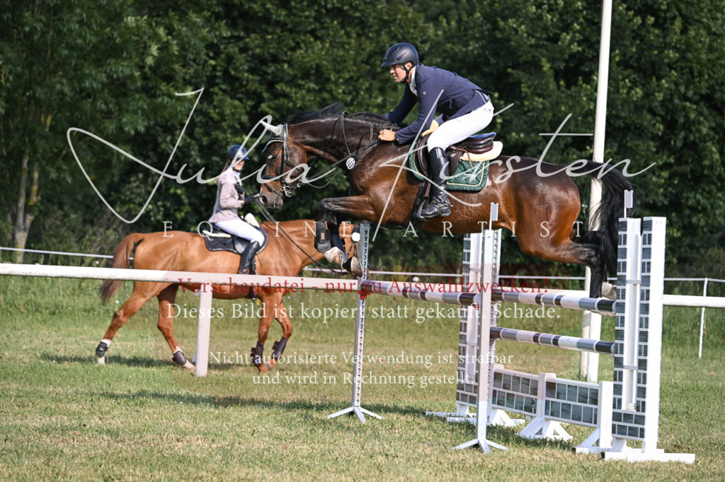 DSC_1411 | Pferde- und Turnierfotografie in Westsachsen. Pferdeportraits, Auftragszeichnungen und intuitive Kunst.