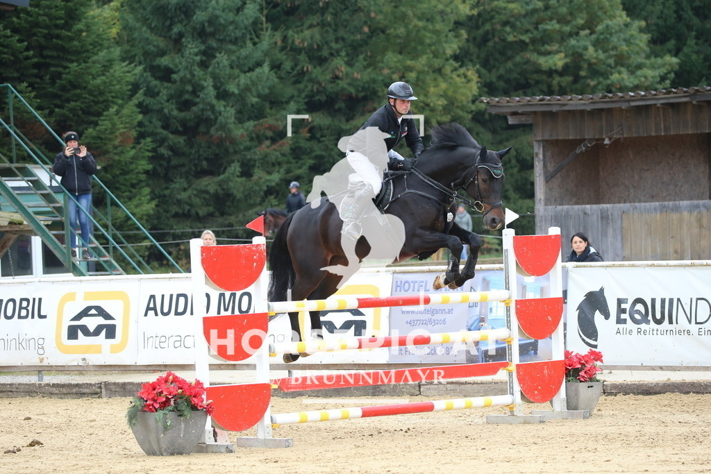 DL2Q1624 | Willkommen bei Brunnmayr - Design & Fotografie – Ihrem Spezialisten für Reitturniere und Pferdeveranstaltungen in Oberösterreich, Salzburg und Bayern! Seit über 17 Jahren sind wir leidenschaftlich dabei.