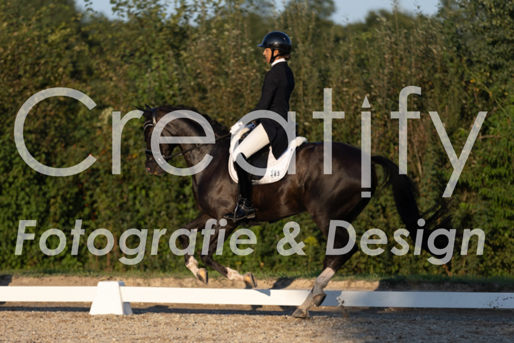 IMG_1646 | Creatify Fotografie