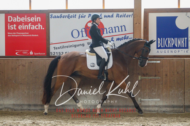 DKP44236 | Turniersportfotografie; Pferdefotografie; Dressurfotografie