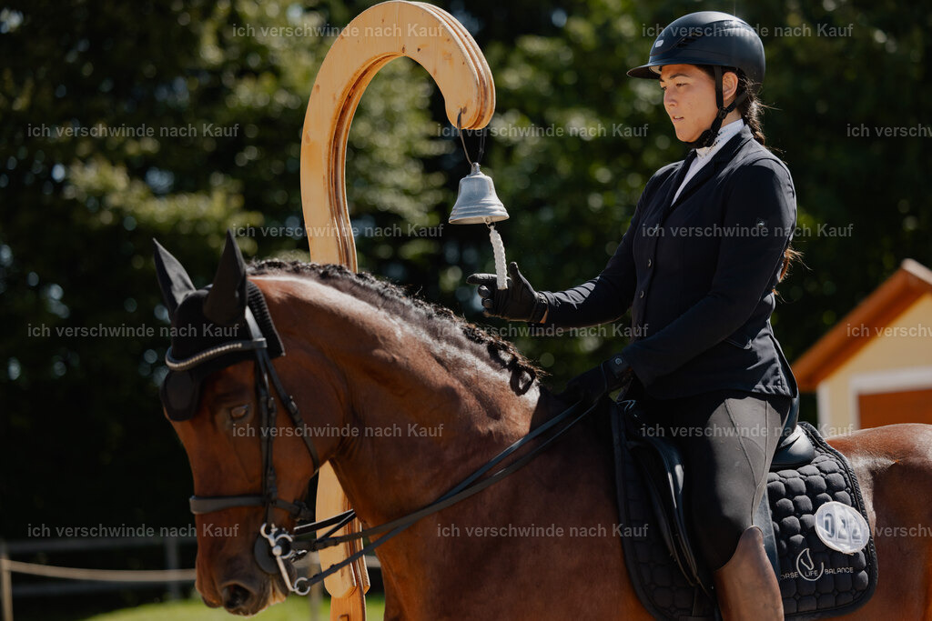Nadine22_FHC2025-57 | working equitationturnier fotograf videograf stoibphotography marixx film working equitation deutschland reitsport turnierfotografie eventfotografie equestrian events