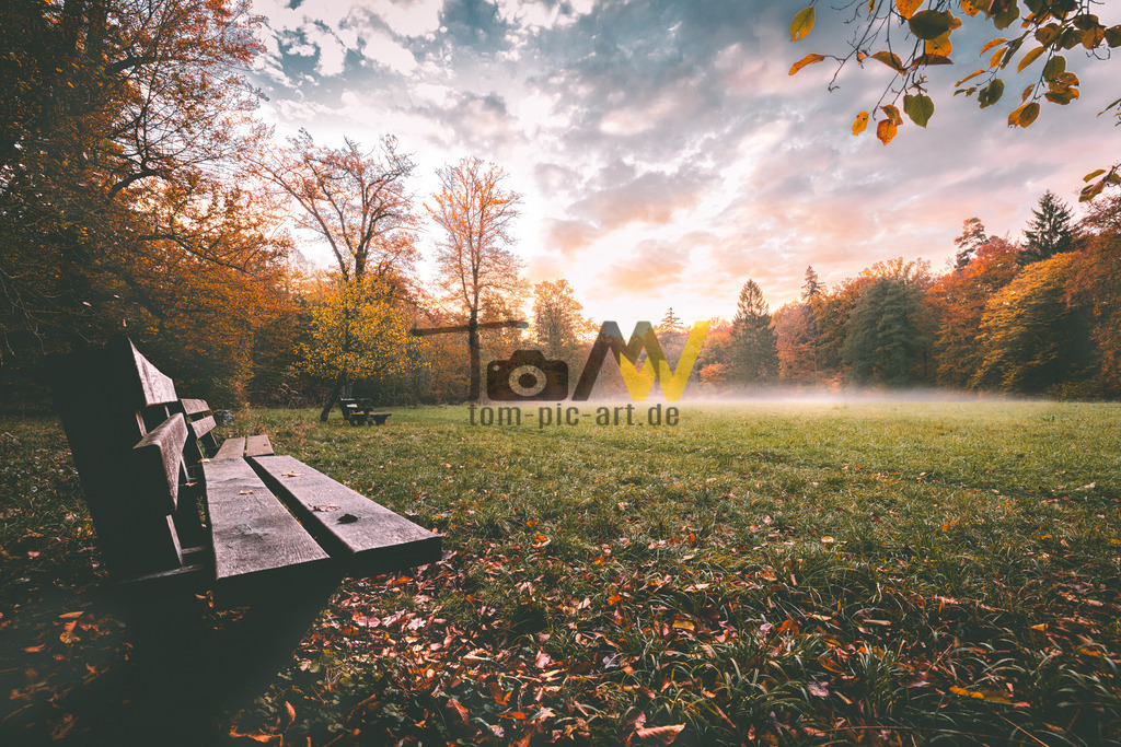 Blick auf eine Wiese im Herbst | Hochauflösende und hochwertige Bilder und Fotos.Kommerzielle oder private Nutzung ✔ Bilder downloaden✔ Acryl ✔ Leinwand ✔ Poster ✔
 - Realisiert mit Pictrs.com