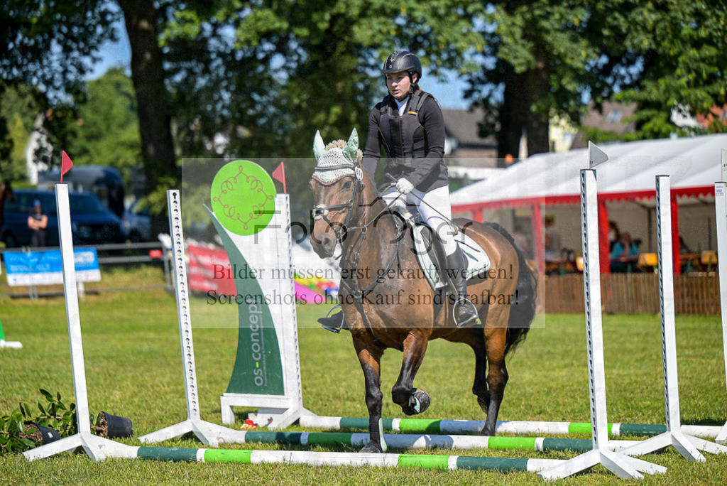 Reitturnier Voxtrup | Entdecke hochwertige Reitturnierfotos von Foto Oger. Professionell, emotional und authentisch – jetzt Lieblingsmomente im Shop bestellen.Deutschlandweite Turnierfotografie. - Realisiert mit Pictrs.com