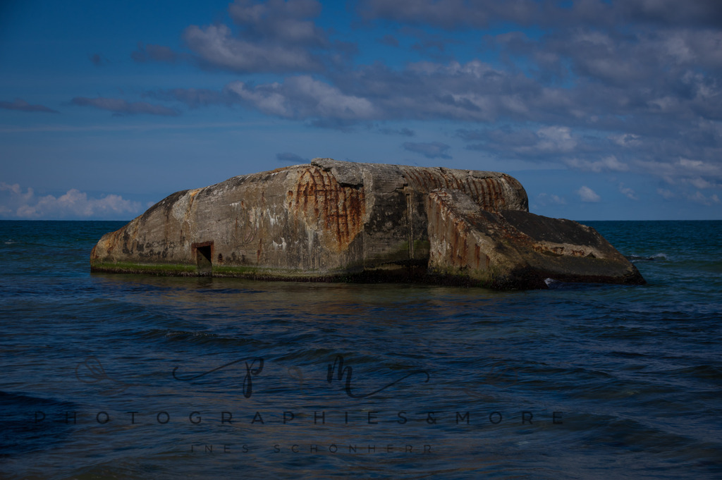 _Sommer2022-0560 | Photographies and more - Realisiert mit Pictrs.com