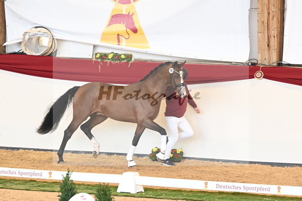 Kat.-Nr. 79 v. Valverde_Gaab_2241003 | hf-fotografie - Realisiert mit Pictrs.com