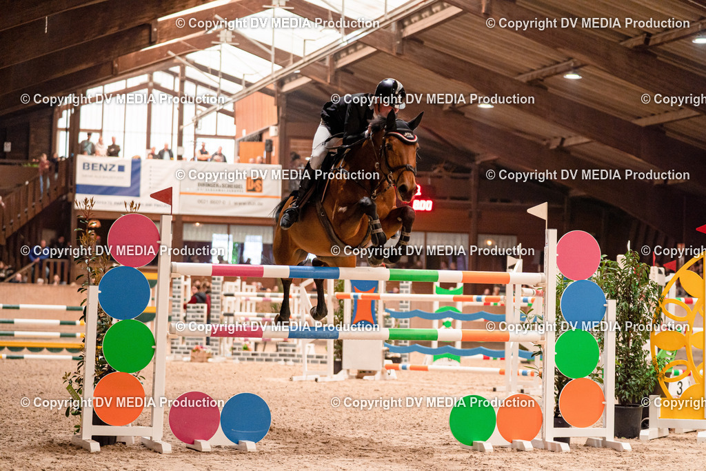 Springen Tag 3-490 | dv-media-shop - Realisiert mit Pictrs.com