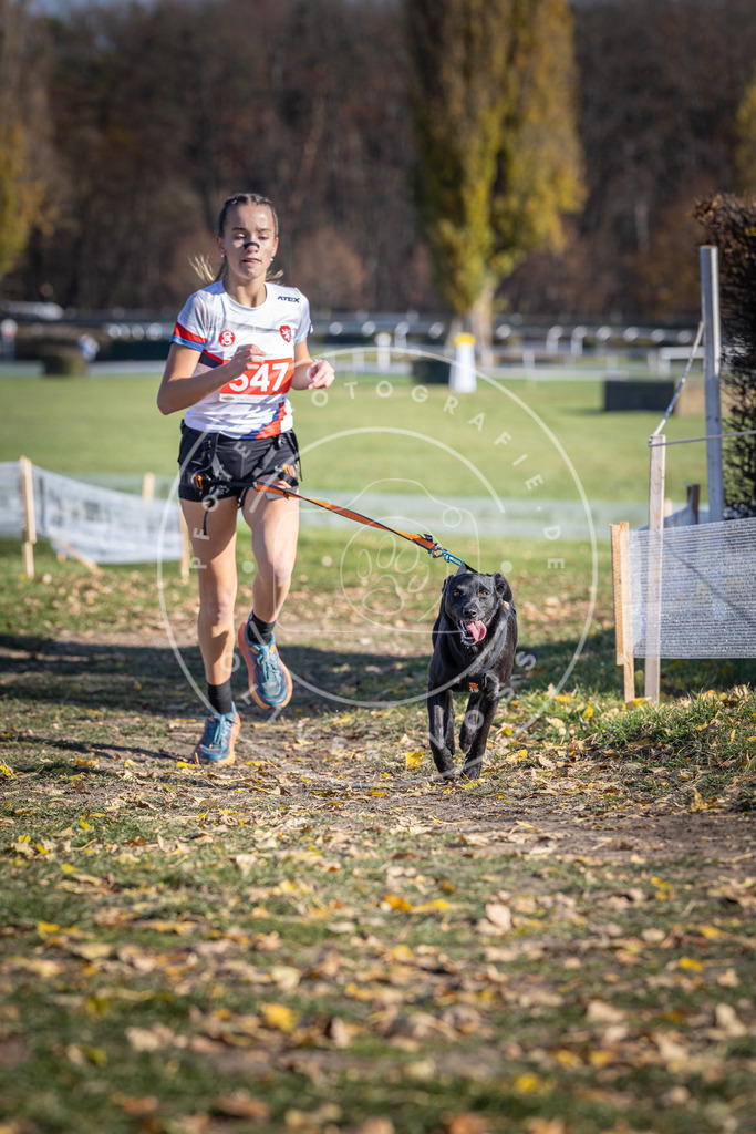 CaniXpix_DV3A8448 | Hundefotografie, Tierfotograf, Pfotenfotografie, Fotoshooting Hund, Hunde Portrait, Hundesport, Hundeportraits, Heideshooting, Hunde, Sportfotograf, Hundefotograf, Turnierhundsport, THS,  - Realisiert mit Pictrs.com