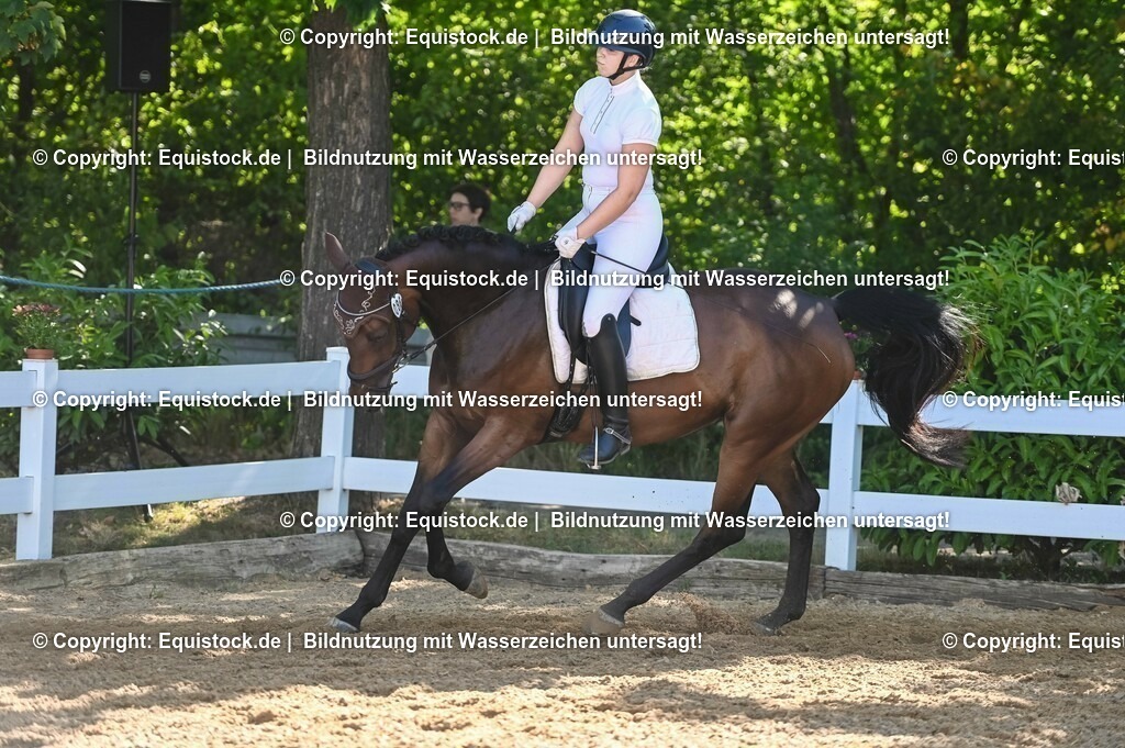 20230715_06_Dressurpferdeprfg. Kl.A_0289 | equistock