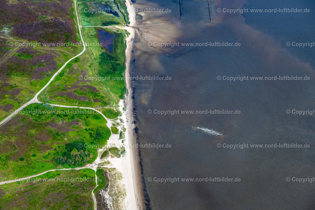 Sylt_Braderup_Wrack_Mariann_ELS_9347130825 | WENNINGSTEDT-BRADERUP (SYLT) 13.08.2025 Umrisse eines Schiffswracks " Mariann " im Wattenmeer vor Wenningstedt-Braderup (Sylt) im Bundesland Schleswig-Holstein, Deutschland. // Outline of a shipwreck " Mariann " in the Wadden Sea off Wenningstedt-Braderup (Sylt) in the federal state of Schleswig-Holstein, Germany. Foto: Martin Elsen