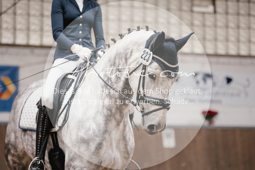 3I6A6822 | Stimmungsvolle Portraits und Reitsportfotografie im Ruhrgebiet und im Münsterland.

Pferdefotografie, Hundefotografie, Tierfotografie, Reportagen, Portraits von Tier und Mensch, Turnierfotografie in Bochum, Recklinghausen, Marl, Haltern am See, Dülmen.. - Realisiert mit Pictrs.com