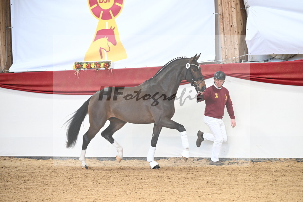 Kat.-Nr. 81 v. Va Bene_Greim_3265190 | hf-fotografie - Realisiert mit Pictrs.com