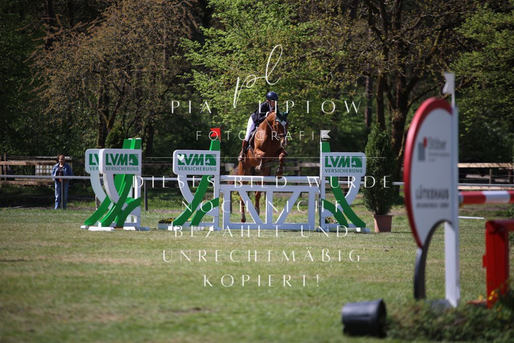 IMGT1034 | pl-fotografie