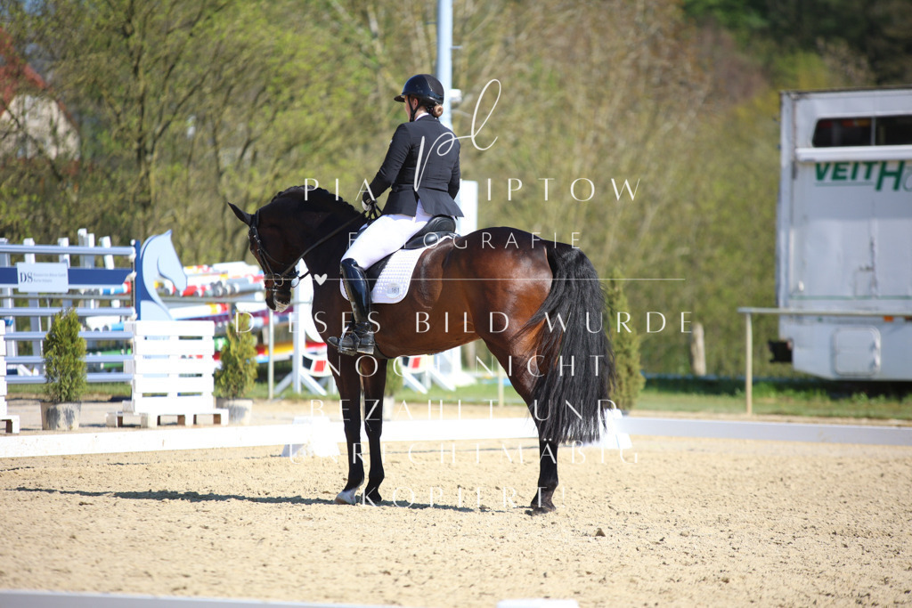 IMGT8571 | pl-fotografie