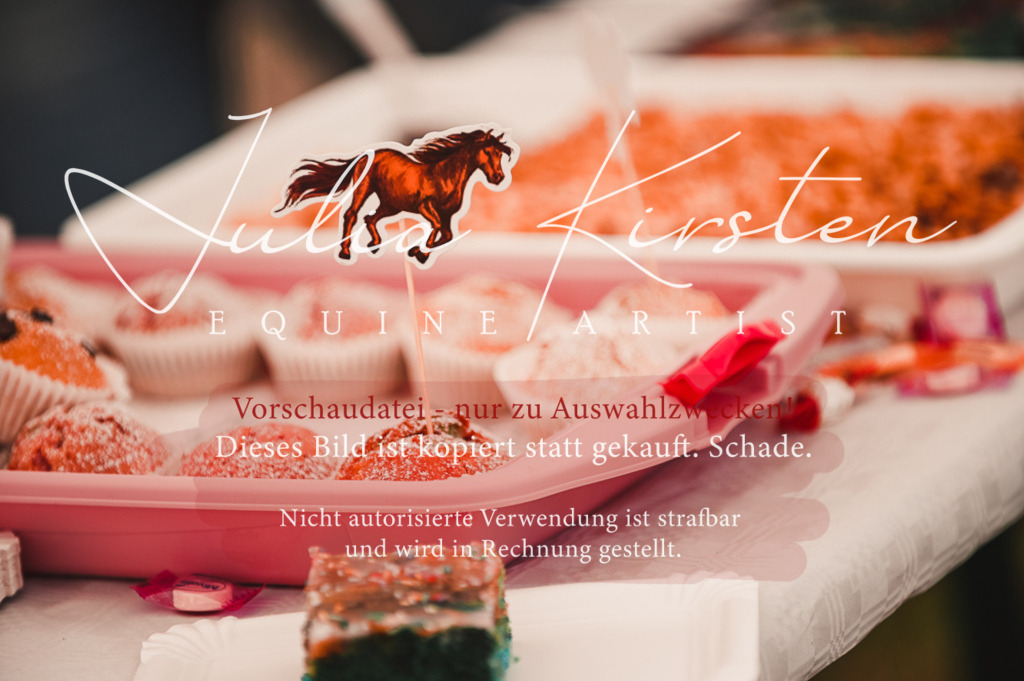 DSC_5740 | Pferde- und Turnierfotografie in Westsachsen. Pferdeportraits, Auftragszeichnungen und intuitive Kunst.