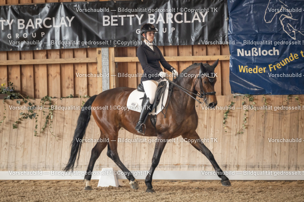 _D5A2724 | Emotionale Pferde- & People-Fotografie rund um Heidelberg, Leimen & Umgebung. Natürliche Fotos von Pferd, Mensch & Familie. Jetzt Termin sichern!