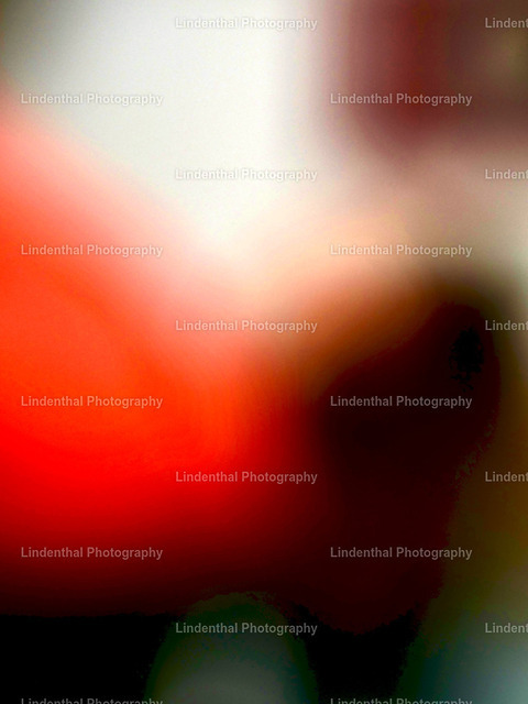 Vision in Red | Lindenthal.ART - Fotografie und Kunstdrucke auf verschiedenen Medien für dein Zuhause, Büro oder Praxis. Natur und Landschaftsbilder oder Digital ART mit harmonischen Farben und Motiven. - Realisiert mit Pictrs.com