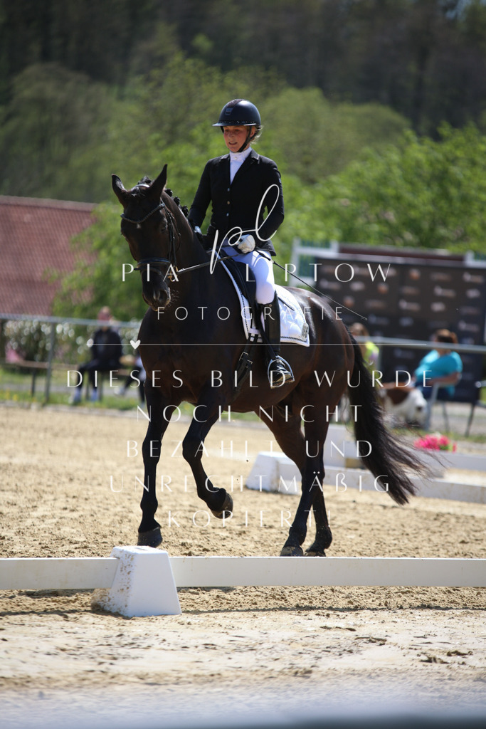 IMGT7146 | pl-fotografie