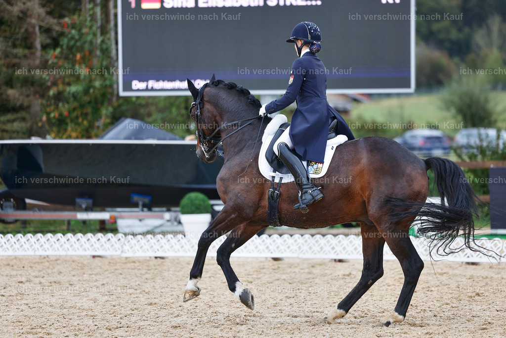 8_2-056-DRESSUR S_  -StoibPH-4421 | working equitationturnier fotograf videograf stoibphotography marixx film working equitation deutschland reitsport turnierfotografie eventfotografie equestrian events