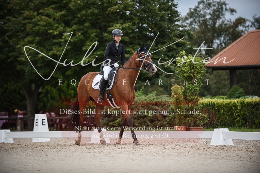 DSC_8392 | Pferde- und Turnierfotografie in Westsachsen. Pferdeportraits, Auftragszeichnungen und intuitive Kunst.