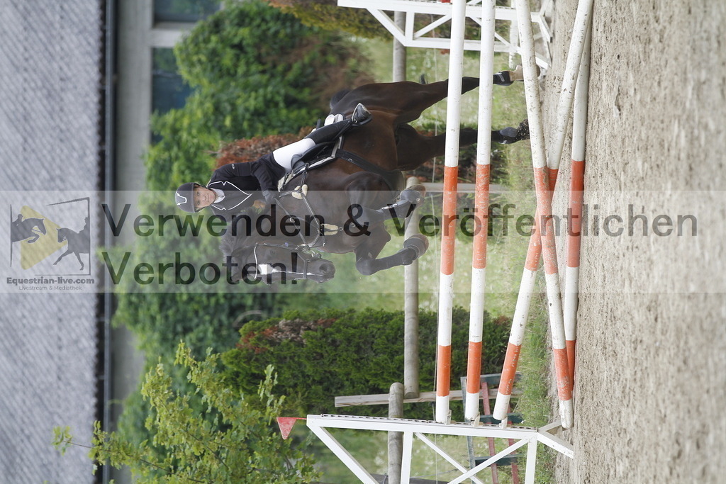 _MG_0346 | equestrian-live-com