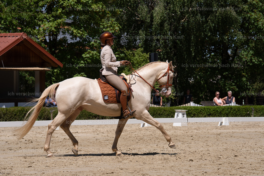 WS_DR_69_sinafilmart_IN02539 | working equitationturnier fotograf videograf stoibphotography marixx film working equitation deutschland reitsport turnierfotografie eventfotografie equestrian events