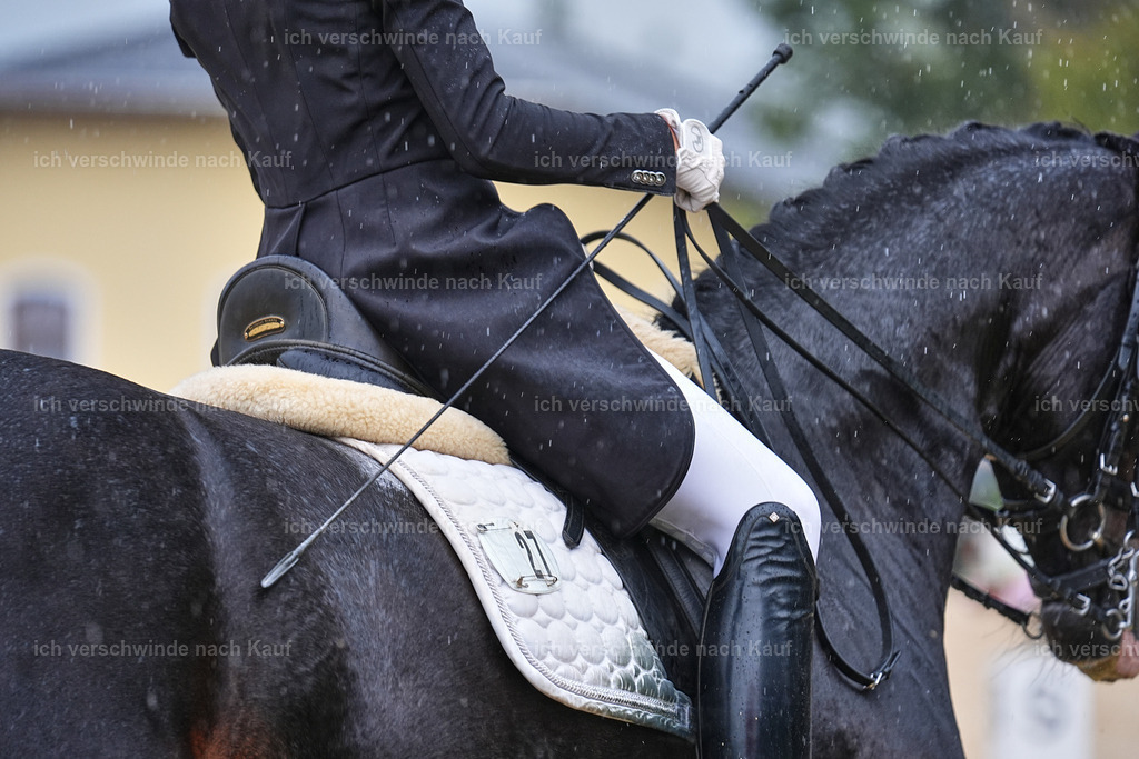 8_1-027-Klasse S_  -Marixx-4381 | working equitationturnier fotograf videograf stoibphotography marixx film working equitation deutschland reitsport turnierfotografie eventfotografie equestrian events