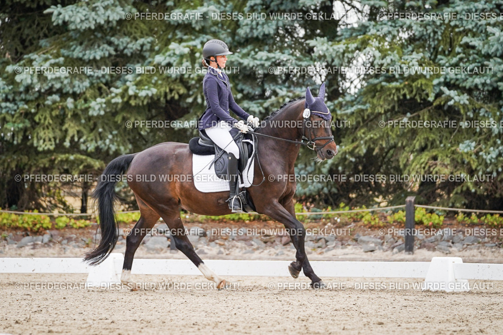 DSC01199 | Pferdegrafie