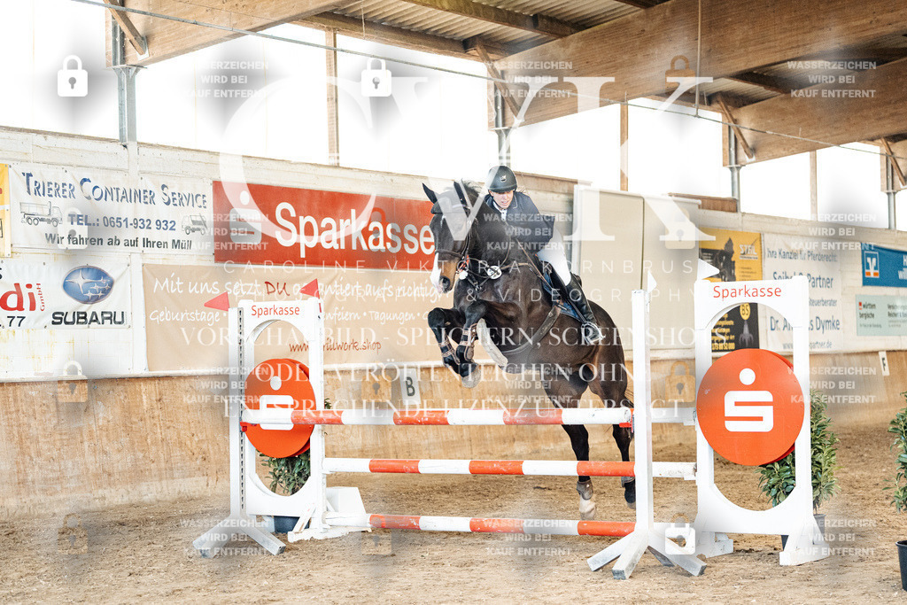CK905111 | Turnierfotografie Pferdefotografie Trier Rheinland-Pfalz Pferdesport Reitsport Tierfotografie Sportfotografie Pferdevideo Pferdevideografie Equestrianvideography equestrianphotography  - Realized with Pictrs.com