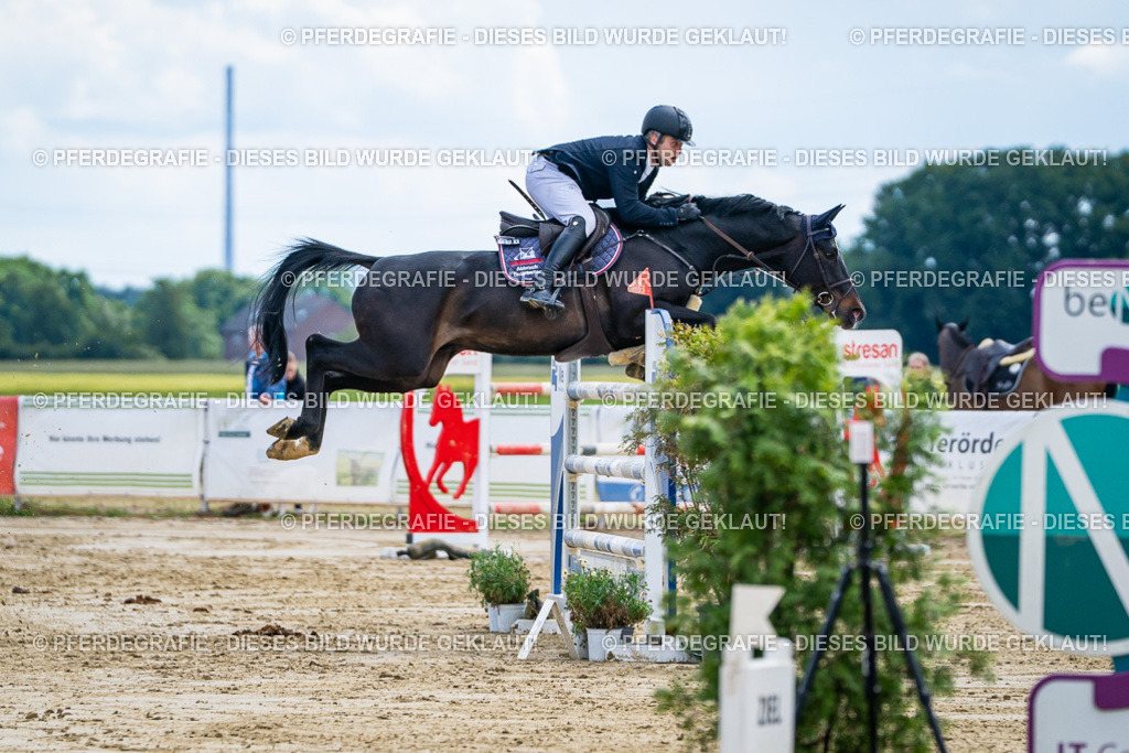 DSC05685 | Pferdegrafie