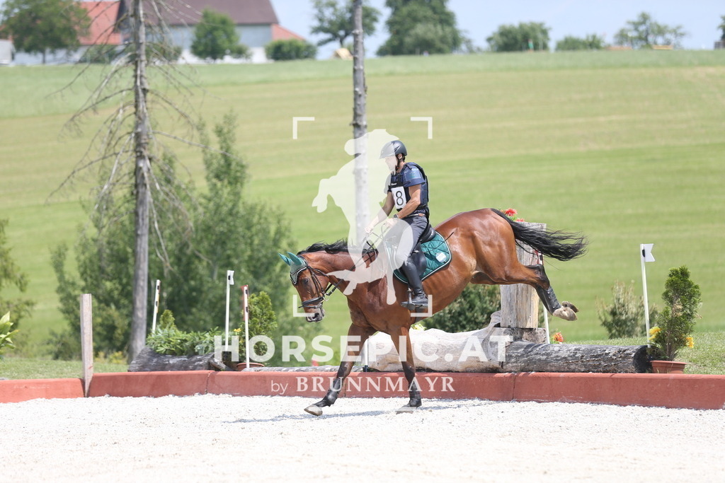 DL2Q2451 | Willkommen bei Brunnmayr - Design & Fotografie – Ihrem Spezialisten für Reitturniere und Pferdeveranstaltungen in Oberösterreich, Salzburg und Bayern! Seit über 17 Jahren sind wir leidenschaftlich dabei.