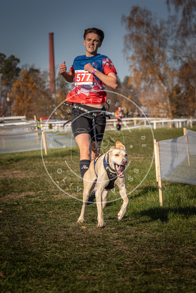 CaniXpix_0L8A8122 | Hundefotografie, Tierfotograf, Pfotenfotografie, Fotoshooting Hund, Hunde Portrait, Hundesport, Hundeportraits, Heideshooting, Hunde, Sportfotograf, Hundefotograf, Turnierhundsport, THS,  - Realisiert mit Pictrs.com