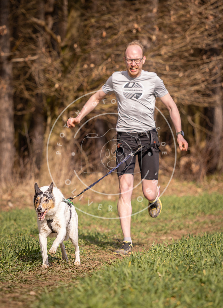 DV3A6220 | Hundefotografie, Tierfotograf, Pfotenfotografie, Fotoshooting Hund, Hunde Portrait, Hundesport, Hundeportraits, Heideshooting, Hunde, Sportfotograf, Hundefotograf, Turnierhundsport, THS,  - Realisiert mit Pictrs.com