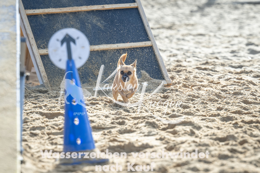 1103_ZZ90087 | kk-dogfotos