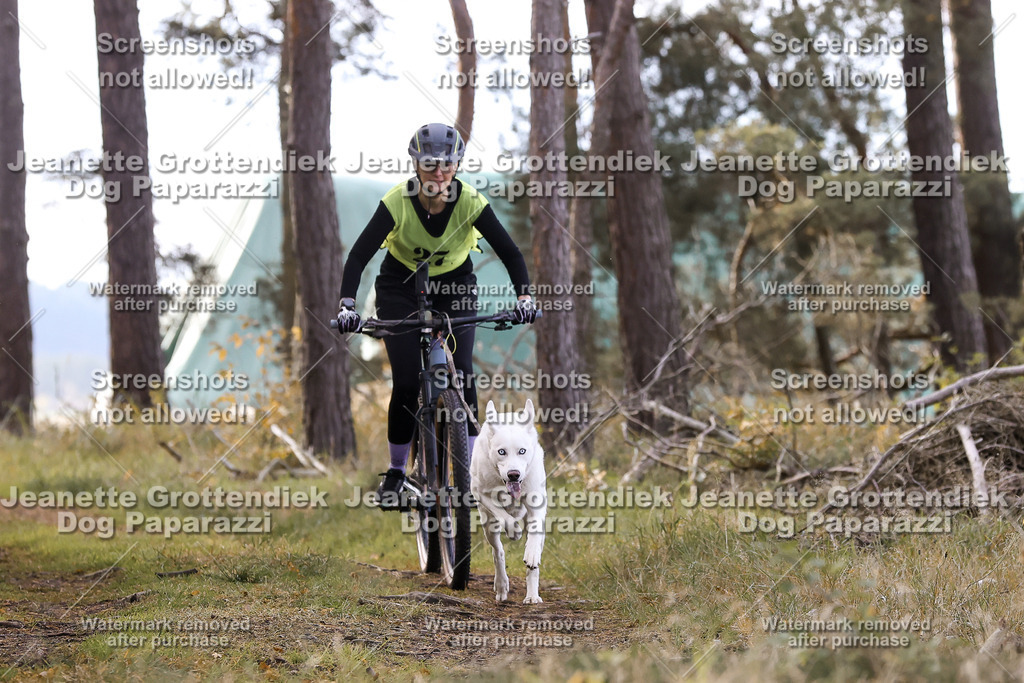 Dog Paparazzi - Elsholz 25 -120 | Dog Paparazzi Jeanette Grottendiek Fotografie & Videografie - Realisiert mit Pictrs.com