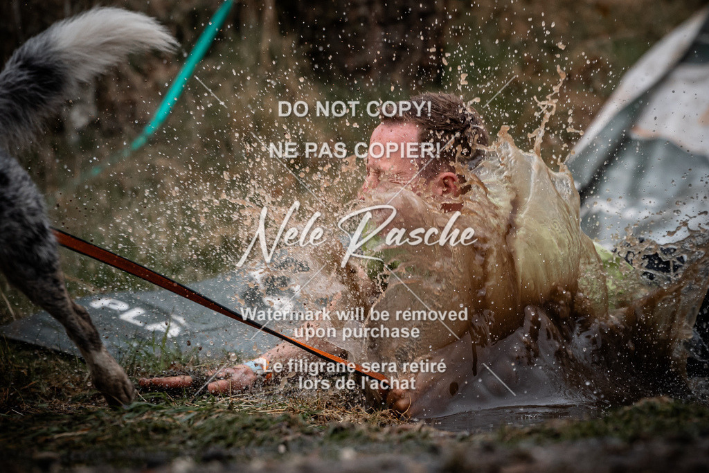 nelerasche_1230-1300_28 | nelerasche