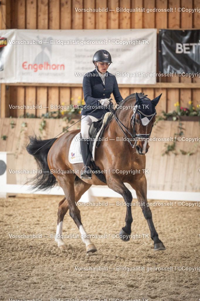 _D5A5972 | Emotionale Pferde- & People-Fotografie rund um Heidelberg, Leimen & Umgebung. Natürliche Fotos von Pferd, Mensch & Familie. Jetzt Termin sichern!