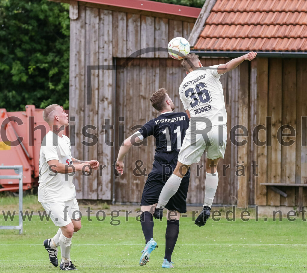 2023-07-02_104_SV_Walpertskirchen_II_gegen_FC_Herzogstadt_II | Walpertskirchen, Deutschland, 02.07.2023:
Fußball, A-Klasse 2023 / 2024, Testspiel, SV Walpertskirchen II gegen FC Herzogstadt II, Endergebnis: 2:0

Foto: Christian Riedel / fotografie-riedel.net