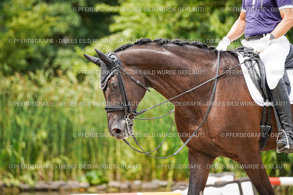 DSC06319 | Pferdegrafie